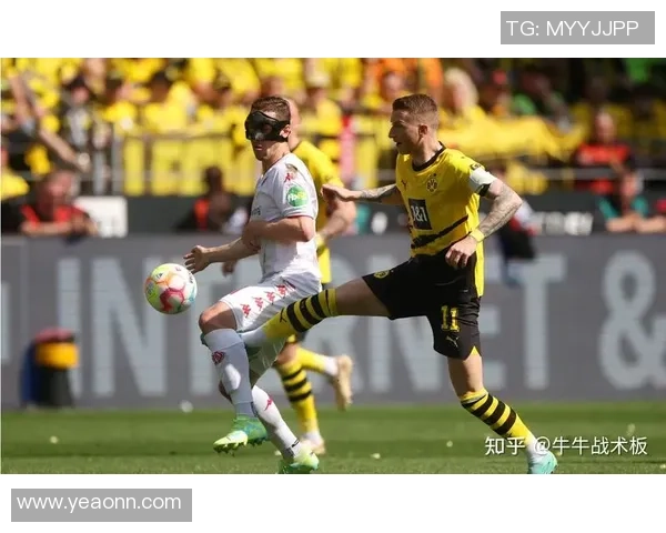 那不勒斯逆转多特蒙德3-2晋级足总杯全场沸腾瞬间回顾